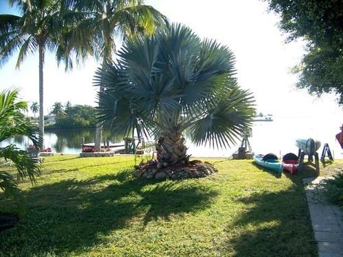 Matlacha Knolls Court Motel المظهر الخارجي الصورة